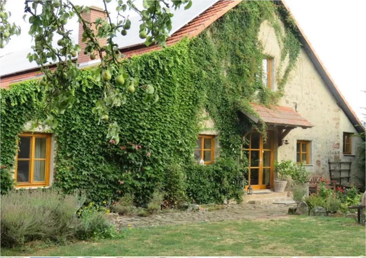 Haus Falkenhof Knüllwald Zewnętrze zdjęcie