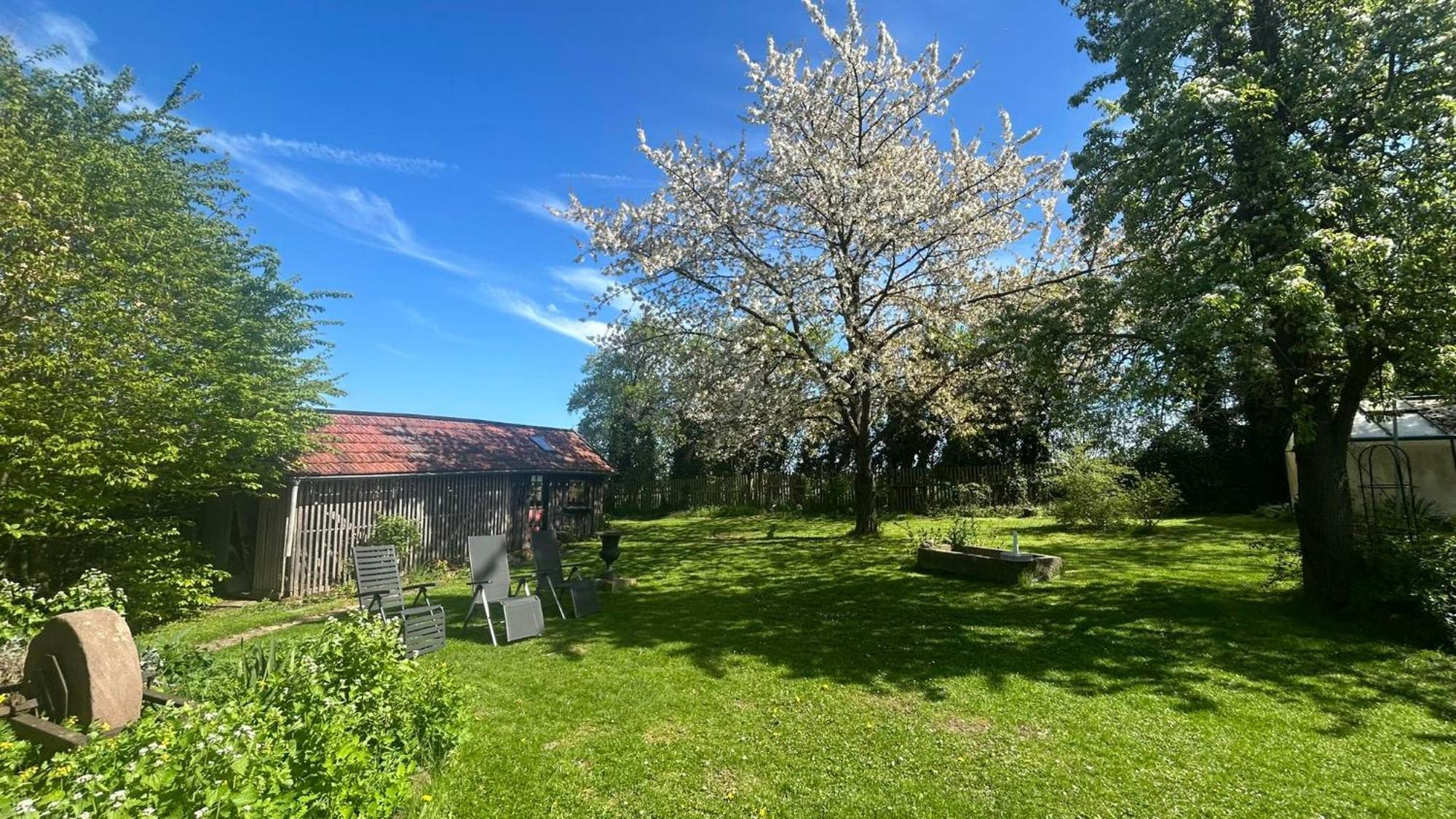 Haus Falkenhof Knüllwald Zewnętrze zdjęcie